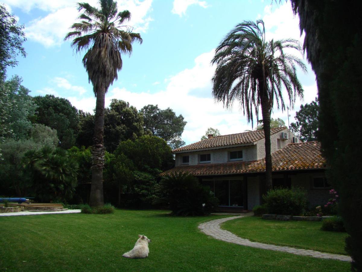 La Villa Saint Andre - Argeles Sur Mer Argelès-sur-Mer Exterior foto