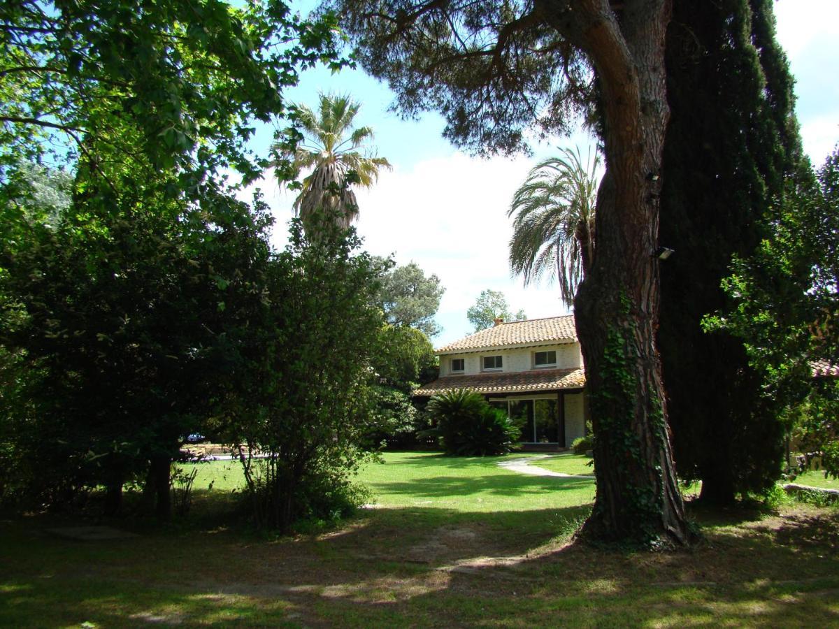 La Villa Saint Andre - Argeles Sur Mer Argelès-sur-Mer Exterior foto